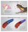 Effect of snake venom on human. Info graphic Illustration.