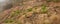 The effects of a wildfire on Lions head in Cape Town. Damaged landscape with green bushes after a disaster in the woods