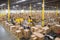Efficient conveyor belt system transporting cardboard box packages in bustling warehouse center