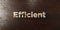 Efficient - grungy wooden headline on Maple - 3D rendered royalty free stock image