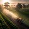 Efficient Pest Control Tractor Spraying Pesticides on Plantation Field at Work. Generative AI