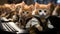 Efficient Teamwork: Five Cats Excelling in a Productive Office Environment AI Generated