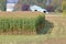 Efficiently Harvested Corn Crop