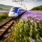 Effortlessly cruising at incredible speeds, high-speed bullet trains are changing the way we travel.generative ai