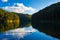 Eflection of pine tree and blue sky with goose