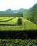 Egeskov castle maze