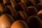 Egg background. Brown eggs in a tray. Protein food. Eco organic. Minimalism concept.