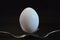 Egg balancing on forks