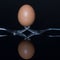 Egg balancing on tines of two forks