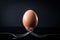 Egg balancing on two forks