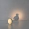 Egg casting shadow of chicken. Creative conceptual photo