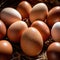 Egg, from chicken duck or other poultry, basic staple food and cooking ingredient