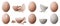 Egg crack vector realistic set icon. Eggshell isolated realistic set icon. Vector illustration egg crack on white