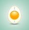 Egg cross section icon