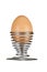 Egg in eggcup