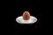 Egg in Eggcup, Boiled Brown Egg in White Eggcup isolated on black background, Centered