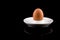 Egg in Eggcup, Boiled Brown Egg in White Eggcup isolated on black background, Copy Space