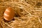 Egg in farm straw