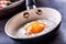 Egg. Fried egg. Chicken egg. Close up view of the fried egg on a frying pan. Salted and spiced fried egg