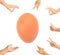Egg with group of hands isolated showing gesture around