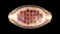 Egg of parasitic roundworm Trichuris trichiura