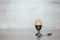 Egg in the pastern on a light