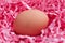 Egg in pink chips