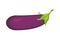 Egg plant healthy vegetable isolated style icon