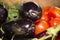 Egg Plant and Tomatoes