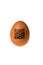 Egg with qr code