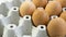 Egg shell tray poultry nature protein healthy concept