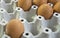 Egg shell tray poultry nature protein healthy concept