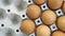 Egg shell tray poultry nature protein healthy concept