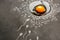 Egg and sperm on a black chalk board, drawn in chalk. In the center of cumulus and zona pellucida is a chicken egg. Illustration