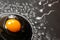 Egg and sperm on a black chalk board, drawn in chalk. In the center of cumulus and zona pellucida is a chicken egg. Illustration