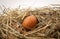 Egg in straw nest