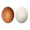 Egg on a white background. Natural ecological product. Healthy food. Dietary meal. Easter symbol.