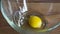 Egg yolk falling into glass bow