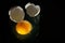 Egg Yolk with Shells - Isolated on Black Glass