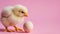 Eggceptional Encounter, A Charming Fluffball Gazing at an Incubating Mystery on a Delicate Pink Canvas