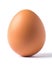 Eggceptional Perfection: Single Chicken Egg on a White Canvas