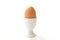 Eggcup