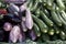 Eggplant, Aubergine, Courgette and Zucchini