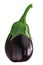 Eggplant or aubergine Solanum melongena fruit, whole, isolated