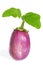 Eggplant or aubergine vegetable on white