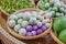 Eggplant in basket bamboo. wooden plate