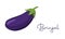 Eggplant brinjal aubergine vector illustration