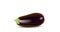 Eggplant brinjal drawing created by Indian artist.