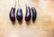 Eggplant composition.flat lay