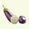 eggplant cut into half. Vector illustration decorative design